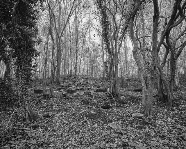 Willesley Basin 01